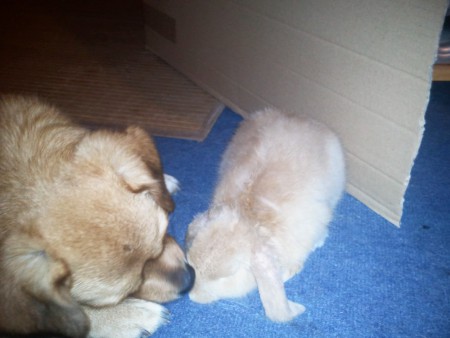 még mindig barátkozunk